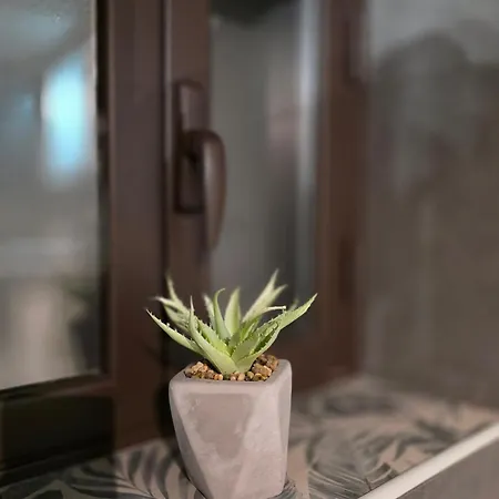 La Casa Di Rocco - アパート *